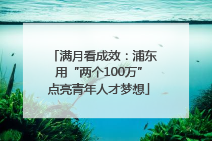 满月看成效：浦东用“两个100万”点亮青年人才梦想