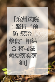 滨州法院：坚持“预防-惩治-修复”相结合 将司法修复落实落细