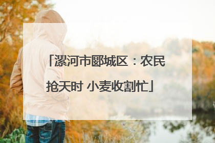 漯河市郾城区：农民抢天时 小麦收割忙