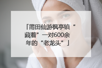 莆田仙游枫亭镇“藏着”一对600余年的“老龙头”