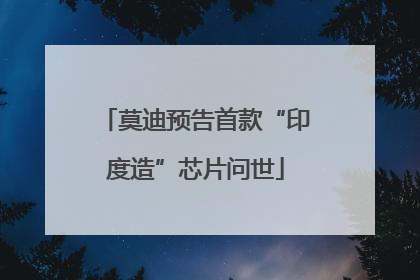 莫迪预告首款“印度造”芯片问世