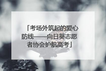 考场外筑起的爱心防线——向日葵志愿者协会护航高考