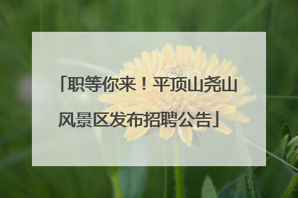 职等你来！平顶山尧山风景区发布招聘公告
