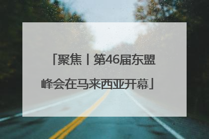 聚焦丨第46届东盟峰会在马来西亚开幕