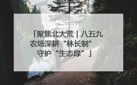 聚焦北大荒｜八五九农场深耕“林长制” 守护“生态绿”