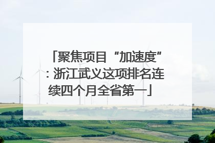 聚焦项目“加速度”：浙江武义这项排名连续四个月全省第一