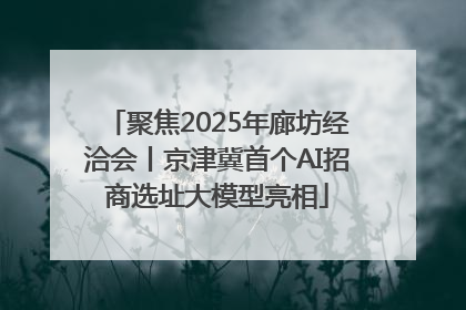 聚焦2025年廊坊经洽会丨京津冀首个AI招商选址大模型亮相