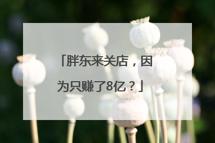 胖东来关店，因为只赚了8亿？