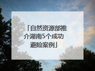 自然资源部推介湖南5个成功避险案例