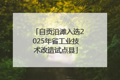 自贡沿滩入选2025年省工业技术改造试点县