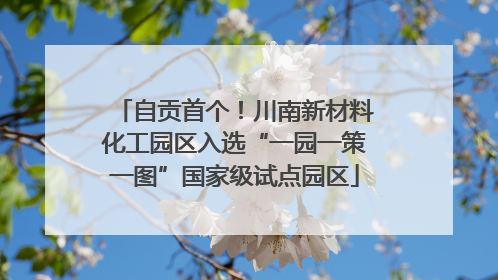 自贡首个！川南新材料化工园区入选“一园一策一图”国家级试点园区