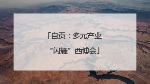 自贡：多元产业“闪耀”西博会