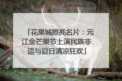 花果城擦亮名片：元江金芒果节上演民族非遗与夏日清凉狂欢