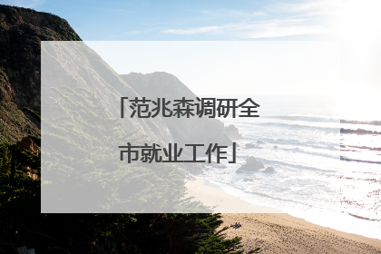 范兆森调研全市就业工作