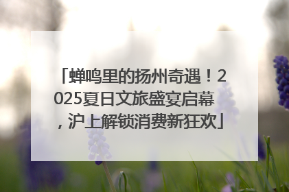 蝉鸣里的扬州奇遇！2025夏日文旅盛宴启幕，沪上解锁消费新狂欢