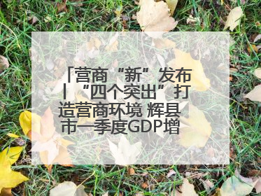 营商“新”发布丨“四个突出”打造营商环境 辉县市一季度GDP增长6.9% 36个重点项目落地