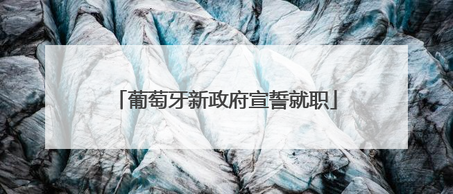 葡萄牙新政府宣誓就职