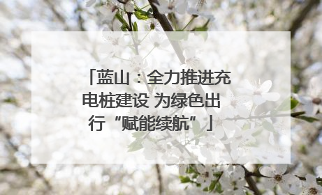 蓝山：全力推进充电桩建设 为绿色出行“赋能续航”