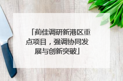 蔺佳调研新港区重点项目，强调协同发展与创新突破