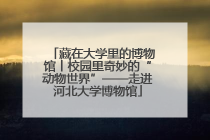 藏在大学里的博物馆丨校园里奇妙的“动物世界”——走进河北大学博物馆