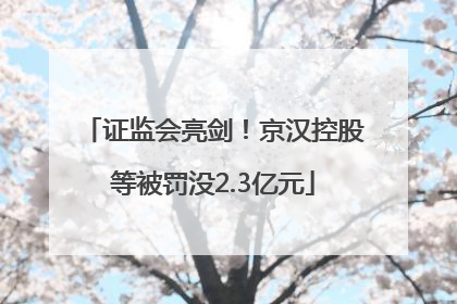 证监会亮剑！京汉控股等被罚没2.3亿元