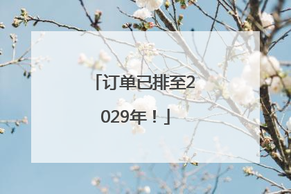 订单已排至2029年！