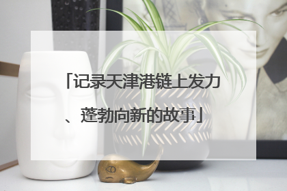 记录天津港链上发力、蓬勃向新的故事