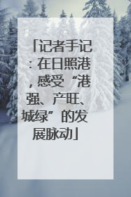 记者手记：在日照港，感受“港强、产旺、城绿”的发展脉动