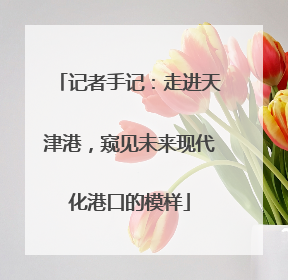 记者手记：走进天津港，窥见未来现代化港口的模样