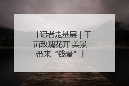 记者走基层｜千亩玫瑰花开 美景带来“钱景”