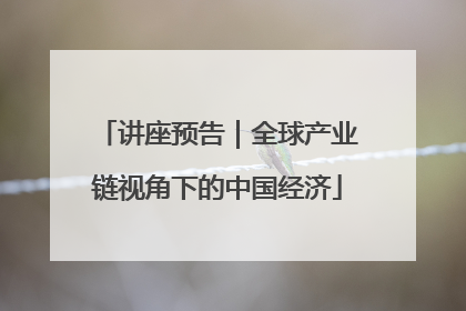 讲座预告｜全球产业链视角下的中国经济