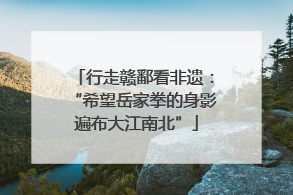 行走赣鄱看非遗：“希望岳家拳的身影遍布大江南北”
