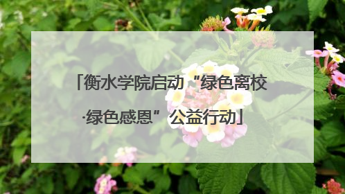 衡水学院启动“绿色离校·绿色感恩”公益行动