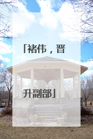 褚伟，晋升副部