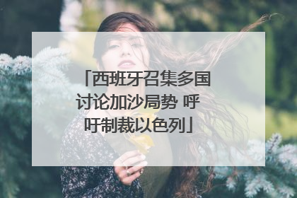 西班牙召集多国讨论加沙局势 呼吁制裁以色列