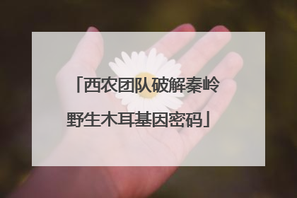 西农团队破解秦岭野生木耳基因密码