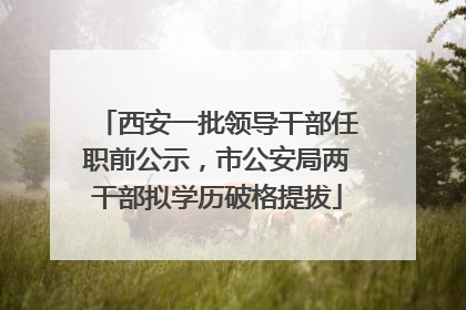 西安一批领导干部任职前公示，市公安局两干部拟学历破格提拔