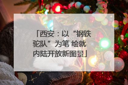 西安：以“钢铁驼队”为笔 绘就内陆开放新图景