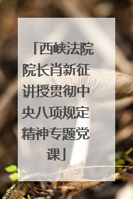 西峡法院院长肖新征讲授贯彻中央八项规定精神专题党课