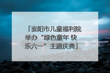 襄阳市儿童福利院举办“绿色童年 快乐六一”主题庆典