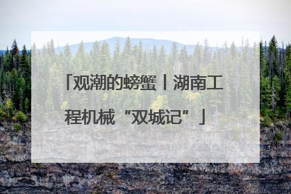 观潮的螃蟹丨湖南工程机械“双城记”