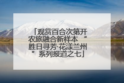观赏百合次第开 农旅融合新样本 “胜日寻芳·花漾兰州”系列报道之七
