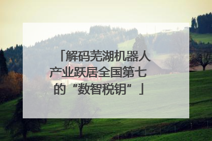 解码芜湖机器人产业跃居全国第七的“数智税钥”