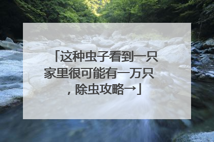 这种虫子看到一只家里很可能有一万只，除虫攻略→