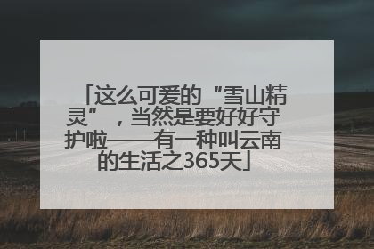 这么可爱的“雪山精灵”，当然是要好好守护啦——有一种叫云南的生活之365天