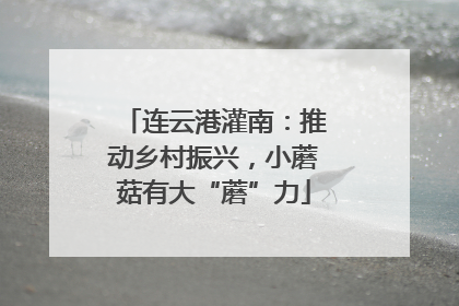 连云港灌南：推动乡村振兴，小蘑菇有大“蘑”力