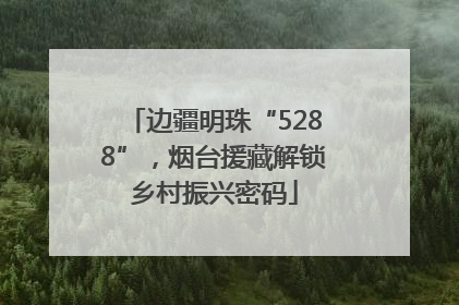 边疆明珠“5288”，烟台援藏解锁乡村振兴密码