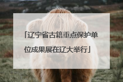 辽宁省古籍重点保护单位成果展在辽大举行