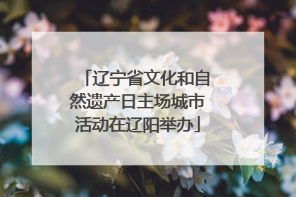 辽宁省文化和自然遗产日主场城市活动在辽阳举办