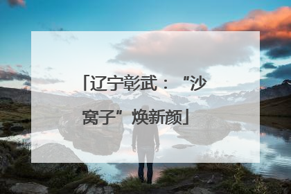 辽宁彰武：“沙窝子”焕新颜